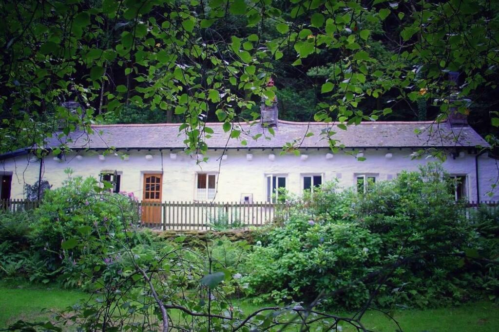 Celyn - Snowdonia Cottage Caernarfon Exterior foto